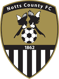 https://img.proyapi.net/img/football/team/9e230c89a846b9cadf91884918fa7611.png